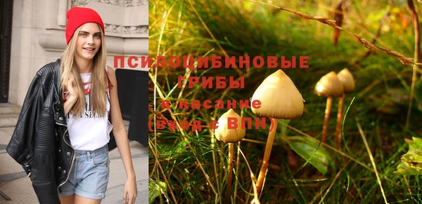 MDMA Лиски