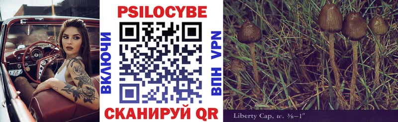 Купить закладки  Курильск  Псилоцибиновые грибы MAGIC MUSHROOMS 